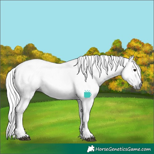 Horse Color:Gray Grullo Rabicano 