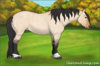 Horse Color:Bay Roan Dun 