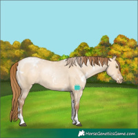 Horse Color:White Spotted Bay Pearl Dun Tobiano