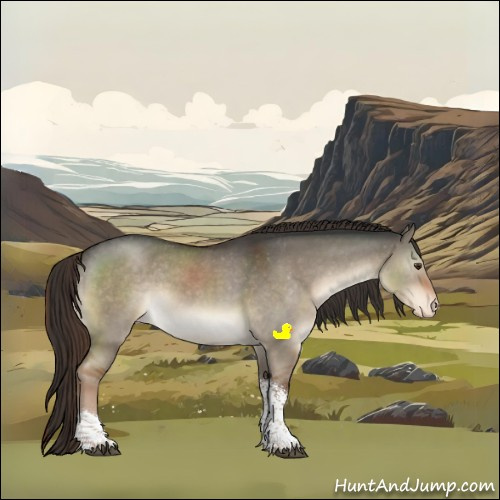 Horse Color:Liver Red Dun Sabino Tobiano Appaloosa 