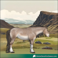 Horse Color:Liver Red Dun Sabino Tobiano Appaloosa 
