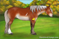Horse Color:Silver Brown Sabino Tobiano Rabicano