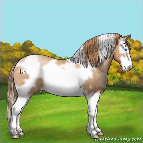 Horse Color:White Spotted Chestnut Pearl Splash Frame 