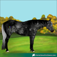 Horse Color:ERROR: UNKNOWN ANOMALY