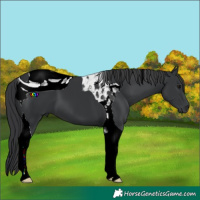 Horse Color:ERROR: UNKNOWN ANOMALY