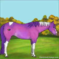 Horse Color:Watercolor Bay Sabino Tobiano Rabicano 