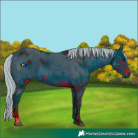 Horse Color:ERROR: UNKNOWN ANOMALY