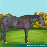 Horse Color:ERROR: UNKNOWN ANOMALY