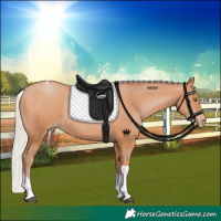 Horse Color:Silver Bay Pearl Tobiano 