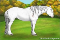 Horse Color:Brown Sabino Rabicano 