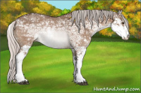 Horse Color:Silver Brown Ice Dun Sabino