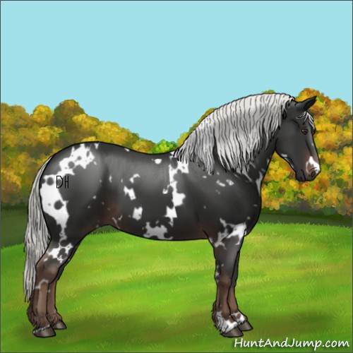 Horse Color:White Spotted Liver Chestnut Mushroom