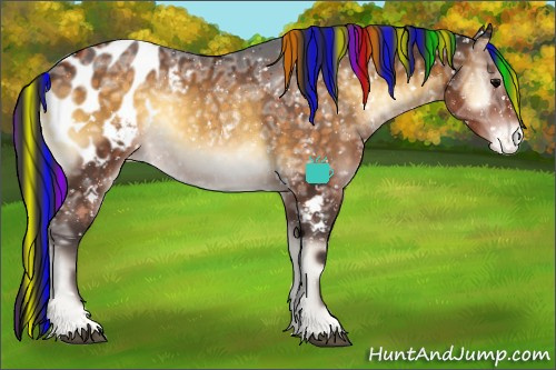 Horse Color:Painted White Spotted Buckskin Ice Onyx Blanket 
