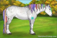 Horse Color:Painted White Spotted Silver Smoky Grullo Chinchilla Ice Onyx Brindle