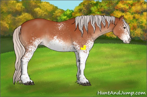 Horse Color:White Spotted Silver Brown Sabino 