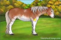 Horse Color:White Spotted Silver Brown Sabino 