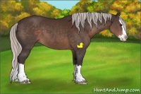 Horse Color:Silver Brown Sabino Splash 