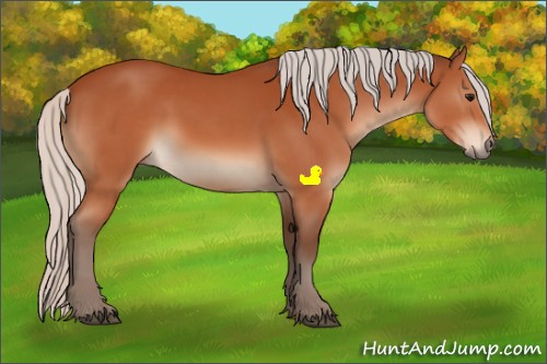 Horse Color:Silver Bay 
