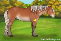 Horse Color:Silver Bay 