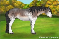 Horse Color:White Spotted Brown Roan Varnish 