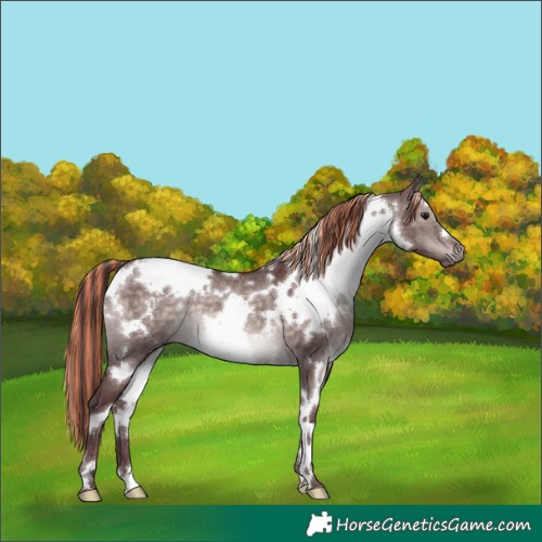 Horse Color:Platinum Painted White Spotted Chocolate Brown Dun 
