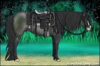 Horse Color:Black Sabino Frame