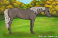 Horse Color:Silver Black 