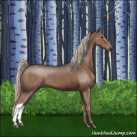 Horse Color:Silver Black 