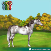 Horse Color:Platinum White Spotted Chocolate Brown Dun
