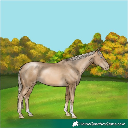 Horse Color:Chocolate Palomino Pearl Mushroom Sabino 