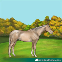 Horse Color:Chocolate Palomino Pearl Mushroom Sabino 