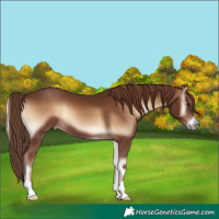 Horse Color:Red Onyx