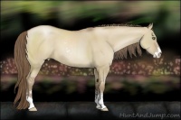 Horse Color:Grullo Pearl Sabino
