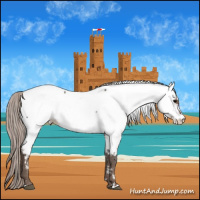 Horse Color:White Spotted Silver Black Splash Appaloosa
