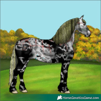 Horse Color:ERROR: UNKNOWN ANOMALY