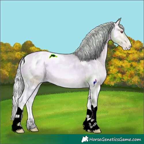 Horse Color:ERROR: UNKNOWN ANOMALY