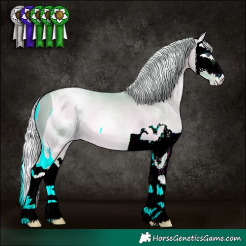 Horse Color:ERROR: UNKNOWN ANOMALY