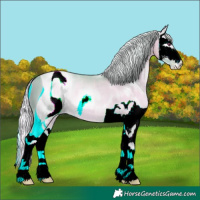 Horse Color:ERROR: UNKNOWN ANOMALY