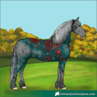 Horse Color:ERROR: UNKNOWN ANOMALY