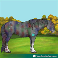 Horse Color:Nacre White Spotted Black