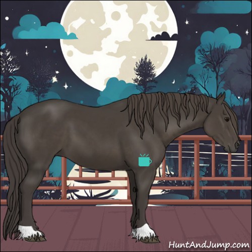 Horse Color:Smoky Black 