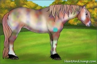 Horse Color:Nacre Red Onyx Rabicano 