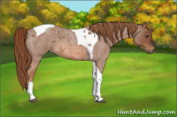 Horse Color:Red Roan Tobiano 