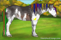 Horse Color:Painted White Spotted Brown Sabino Splash 