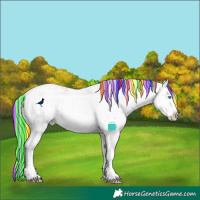 Horse Color:Painted White Spotted Perlino Ice Sabino 