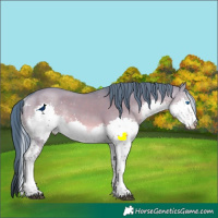 Horse Color:Watercolor Liver Red Dun Sabino Splash