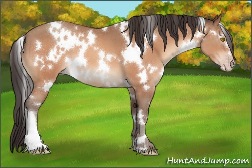 Horse Color:White Spotted Amber Champagne 