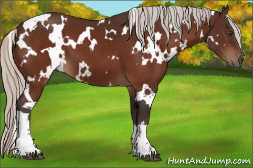 Horse Color:White Spotted Silver Brown 