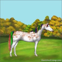 Horse Color:Painted Bay Ice Splash Frame 
