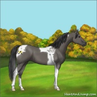 Horse Color:Grullo Tobiano 